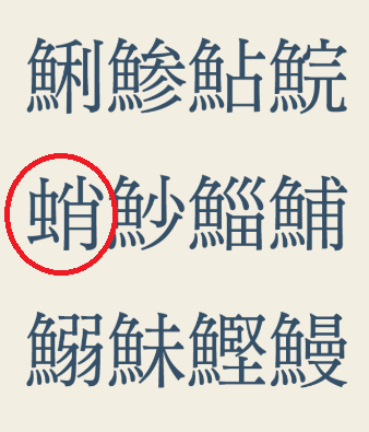 攻略 答え タコはどこ 問題4