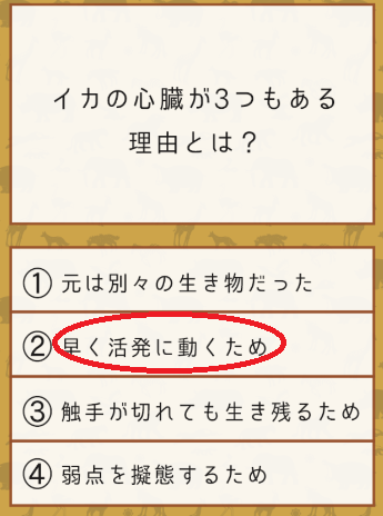 攻略 答え 雑学クイズ 動物編 問題12