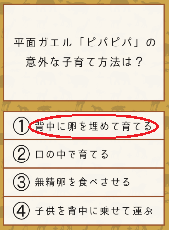 攻略 答え 雑学クイズ 動物編 問題53